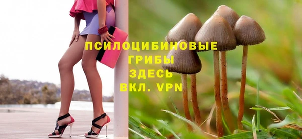 индика Армянск