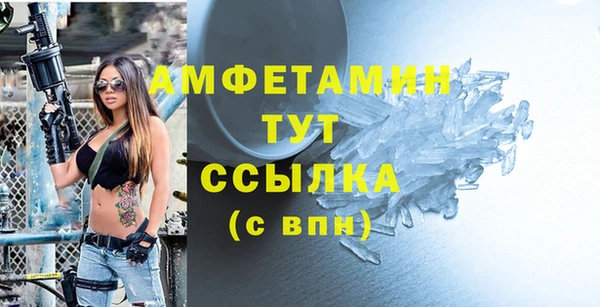 индика Армянск