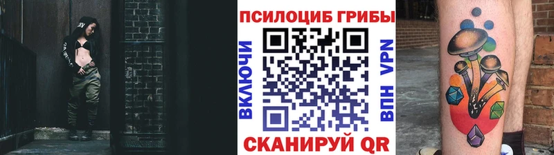 Псилоцибиновые грибы Psilocybe  наркота  Спасск-Дальний 